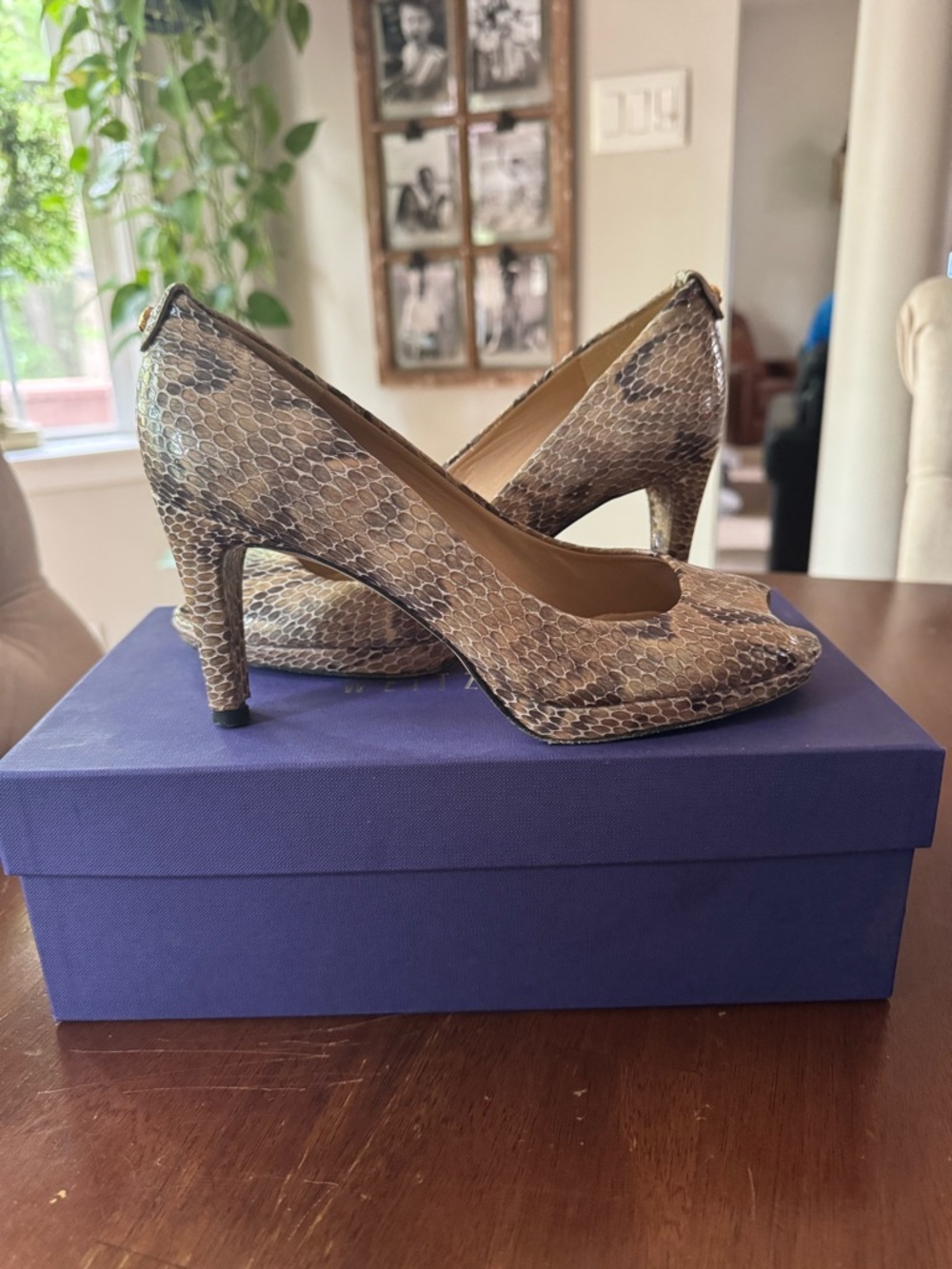 Stuart Weitzman Snake-Print Pumps in Brown and Tan